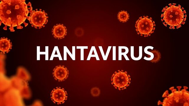 Hantavirus pulmonary syndrome cells floating on a dark red medical science background