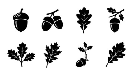 Oak Acorn and Leaf Icons Set, Autumn Nature Elements, Forest Harvest Symbols, Black and White Vector Graphics for Seasonal Design © Shakil