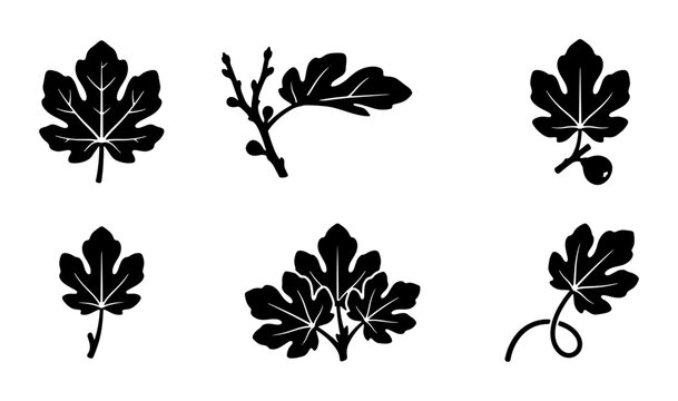 Fig Leaf Vector Icons, Botanical Silhouettes, Organic Plant Elements, Nature Graphics, Black and White Decorative Motifs