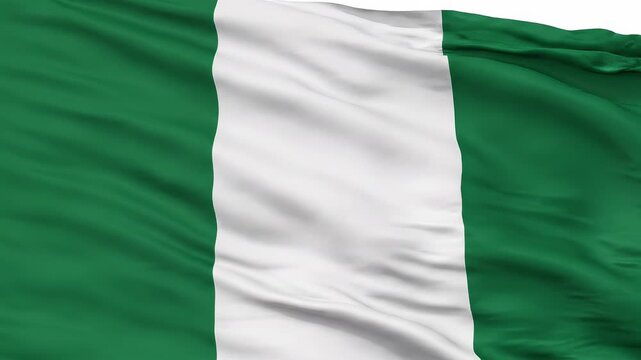 The flag of nigeria waving isolated on white background with green and white colors