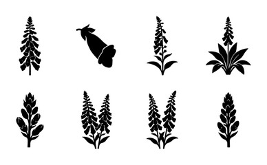 Digitalis Flower Icons, Foxglove Silhouette Vector Set, Botanical Plant Graphics, Woodland Flora Silhouettes, Garden Bloom Illustrations © Tania