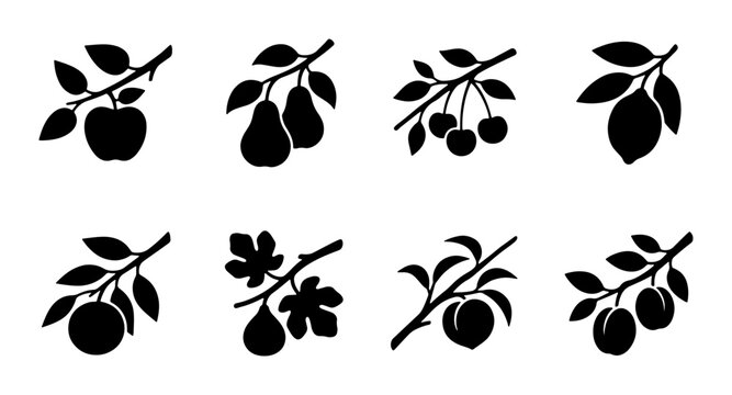 Fruit Branch Silhouettes Collection: Apple, Pear, Cherry, Lemon, Fig, Peach, Plum Vector Icons for Organic Food and Harvest Designs