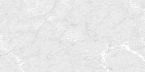 Fototapeta premium Luxury Light Gray and White Marble Texture