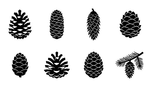 Set of 8 Black Pine Cone Vector Icons, Forest Seed Pod Graphics, Nature Elements Collection, Winter Botanical Illustrations