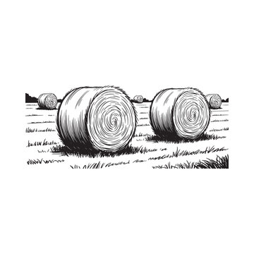 Hay bales in a field black and white sketch illustration