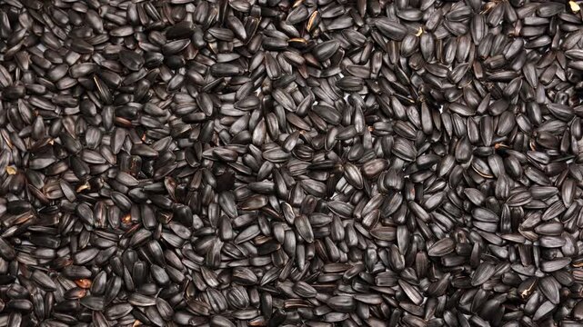 Macro panning shot over pile of black sunflower seeds