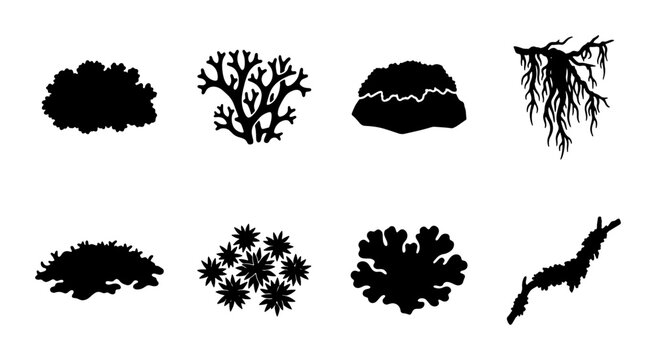 Black Silhouette Lichen and Moss Vector Icons, Organic Plant Shapes for Nature Designs, Botanical Elements Set