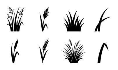 Black Silhouette Grass and Reed Vector Icons, Nature Elements Collection for Organic Design, Wetland Flora Set © Nodi