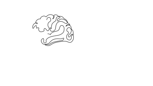 Confused Man with Tangled Brain and Mental Chaos