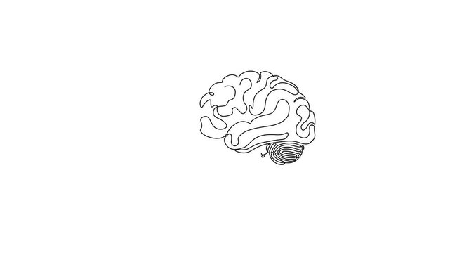 One Line Art: From Chaos to Brain to Lightbulb as Problem Solving Solution Concept