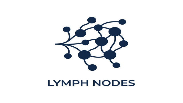 Lymph nodes network is shown in a stylized graphic representation for human immune system study.