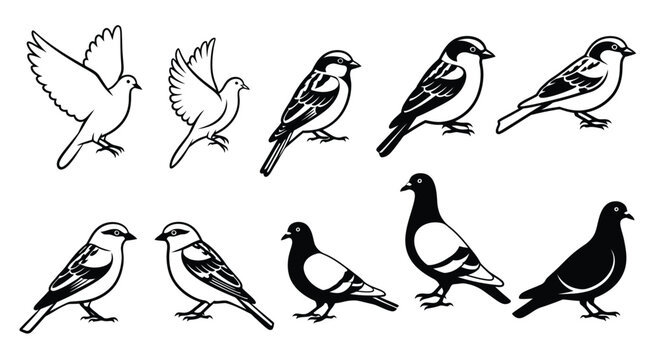 Collection of bird silhouettes in various poses black and white silhouette