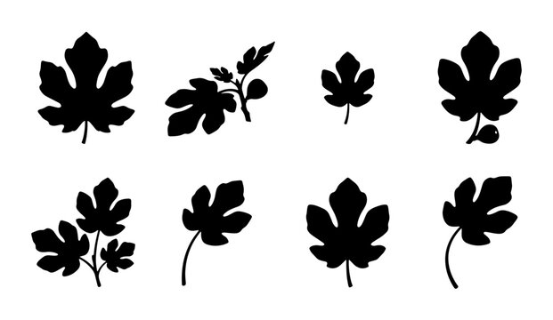 Fig Leaf Silhouettes, Botanical Vector Illustrations, Organic Shapes, Natural Elements, Black and White Plant Graphics
