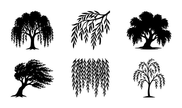 Weeping Willow Tree Silhouettes, Botanical Vector Icons, Elegant Nature Graphics, Black and White Tree Art