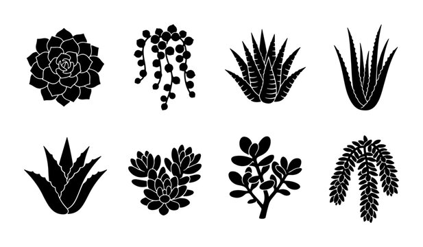 Set of 8 Black Silhouette Succulent Plants, Desert Flora Vector Icons for Botanical Design and Home Decor