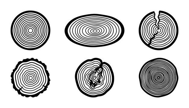 Wood Slice Vector Icons, Tree Ring Cross-Sections, Rustic Natural Textures, Organic Circular Patterns, Forest Elements for Design