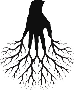 Black silhouette of a human hand merging into tree roots for a conceptual nature design representing growth and connection to the earth.