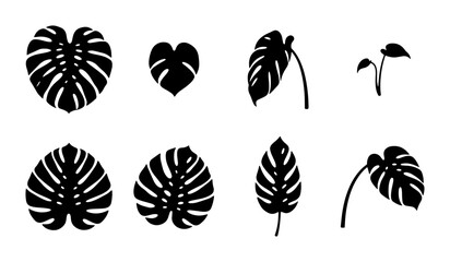 Fototapeta premium Monstera Leaf Silhouettes, Tropical Plant Icons, Botanical Vector Elements, Jungle Foliage Graphics