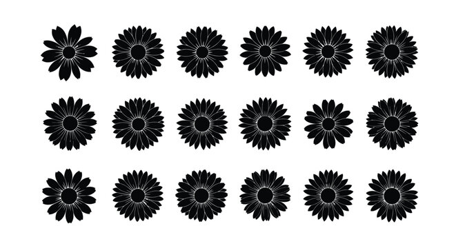 Daisy flower silhouettes on a white background silhouette