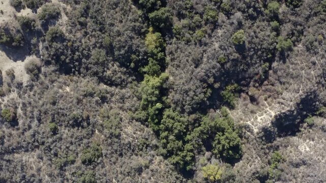 Top Down of Corbin Canyon Park Woodland Hills Los Angeles California Drone 