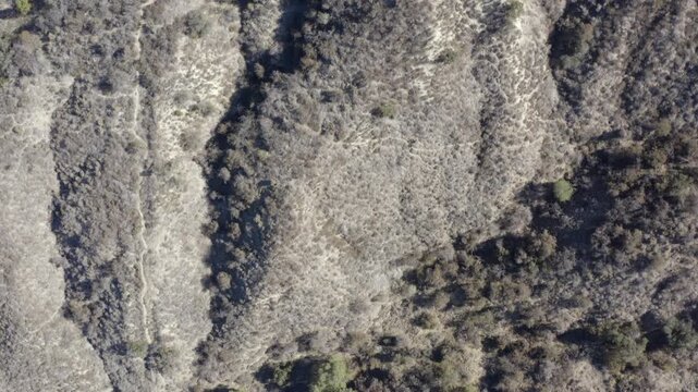 Top Down of Corbin Canyon Park Woodland Hills Los Angeles California Drone 