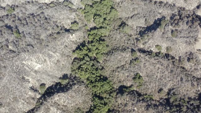 Top Down of Corbin Canyon Park Woodland Hills Los Angeles California Drone 
