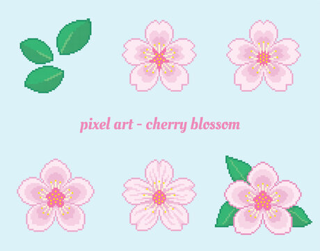 Pixel art set of beautiful cherry blossoms or sakura flower