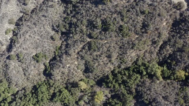Top Down of Corbin Canyon Park Woodland Hills Los Angeles California Drone 