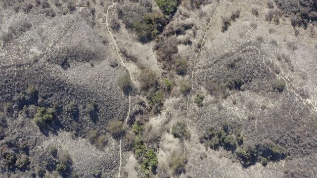 Top Down of Corbin Canyon Park Woodland Hills Los Angeles California Drone 