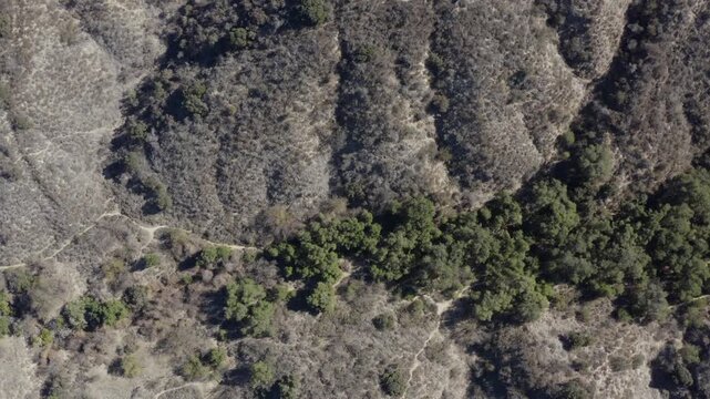 Top Down of Corbin Canyon Park Woodland Hills Los Angeles California Drone 