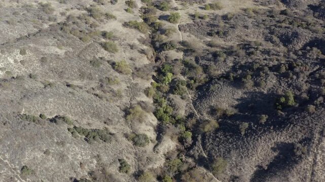 Top Down of Corbin Canyon Park Woodland Hills Los Angeles California Drone 