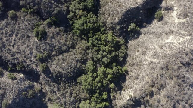 Top Down of Corbin Canyon Park Woodland Hills Los Angeles California Drone 