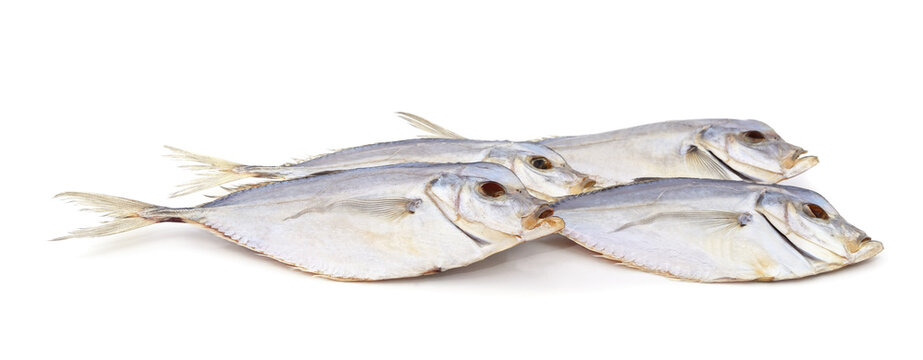 Dried vomer fish group on background.