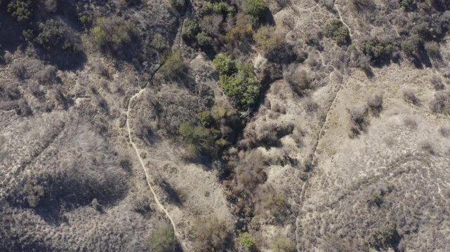 Top Down of Corbin Canyon Park Woodland Hills Los Angeles California Drone 