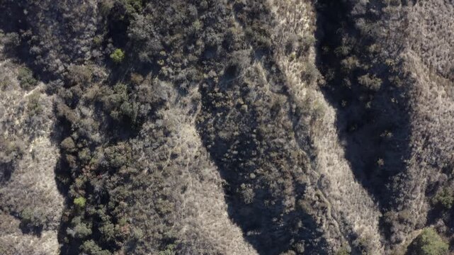 Top Down of Corbin Canyon Park Woodland Hills Los Angeles California Drone 