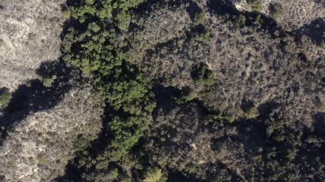 Top Down of Corbin Canyon Park Woodland Hills Los Angeles California Drone 