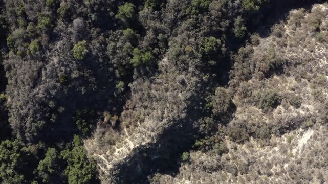 Top Down of Corbin Canyon Park Woodland Hills Los Angeles California Drone 