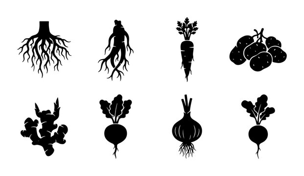 Root Vegetable Icons Set, Organic Produce Silhouettes, Healthy Food Graphics, Root System Illustrations, Farm Harvest Vector Collection
