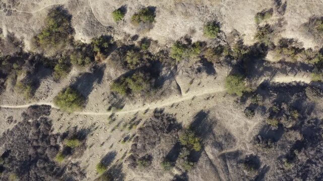 Top Down of Corbin Canyon Park Woodland Hills Los Angeles California Drone 
