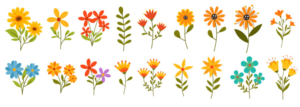 garden blossom flowers botanical element wildflower collection bundle set