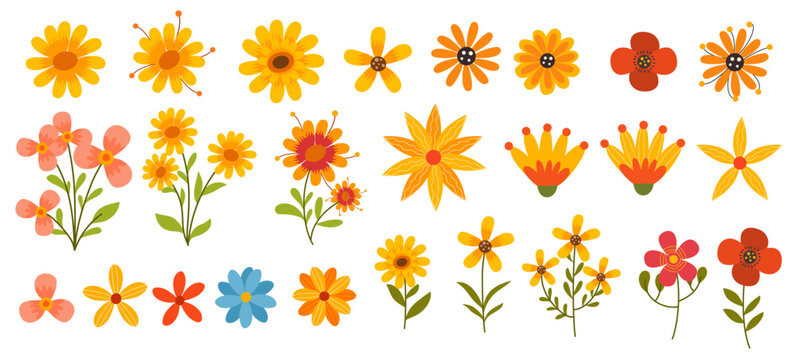 orange yellow daisy flower heads graphic element bundle set