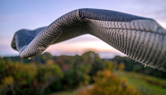 Close-up of Wingsuit Fabric Inflated with Air Showing Ribstop Weave Texture in Outdoor Setting