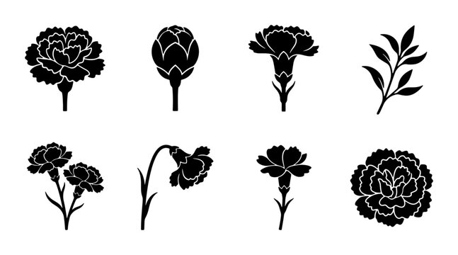 Elegant Carnation Flower Silhouettes, Vector Set of Floral Icons and Botanical Elements for Design, Black and White Botanical Illustrations