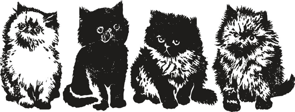 Four fluffy kitten silhouettes with detailed fur texture in black and white