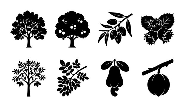 Black Silhouette Orchard and Nut Trees, Fruit Branches, and Cashew Icons. Nature botanical vector elements for organic design.