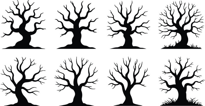 Set of eight progressive stages showing tree growth and seasonal changes isolated on transparent background