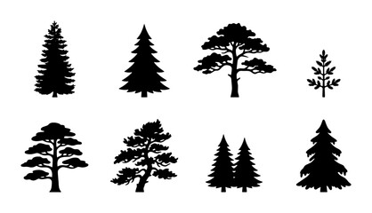 Coniferous Tree Silhouettes Collection, Evergreen Forest Icons, Pine and Fir Vector Graphics, Nature Elements for Design © Samira
