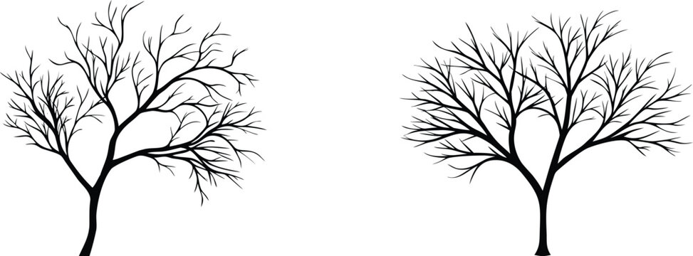 Two detailed silhouettes of leafless deciduous trees with intricate bare branches for seasonal winter scenery graphics.