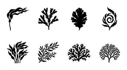 Set of 8 Black Seaweed Vector Icons, Marine Algae Silhouettes for Ocean Health and Nature Designs © Abul