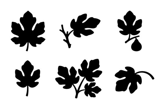 Fig Leaf Vector Icons, Botanical Silhouettes, Organic Plant Elements, Natural Autumn Foliage Graphics, Black and White Decorative Shapes